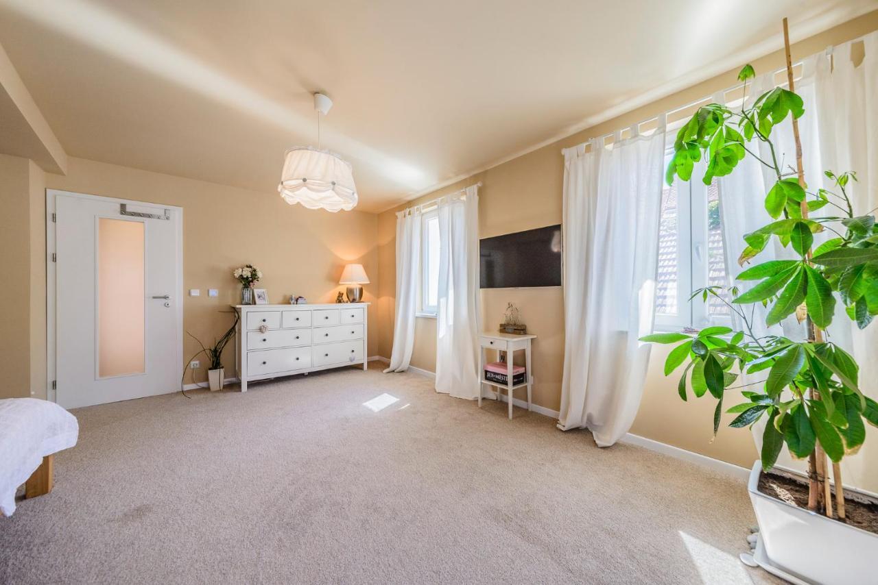 Mikulov Apartmany Magistr Екстер'єр фото